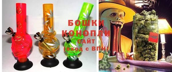 прущие грибы Семикаракорск