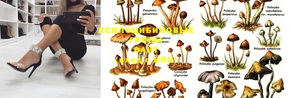 сатива Семилуки