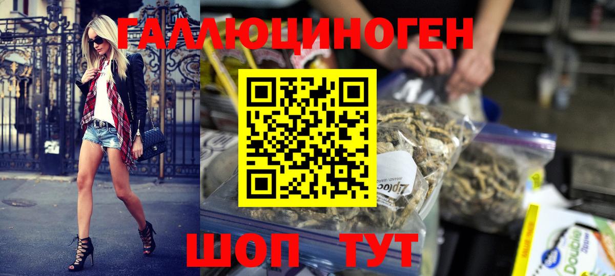 Псилоцибиновые грибы Psilocybine cubensis Карасук