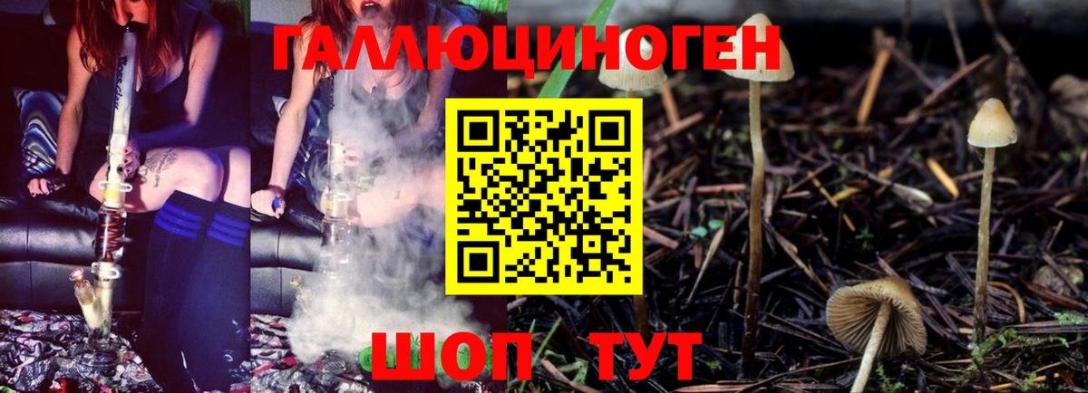 ГАШИШ  КОКАИН  A PVP СОЛЬ   Кодеин  Карасук  МАРИХУАНА  Вход с VPN  Купить наркотики цена  МЕФ кристаллы  LSD-25 