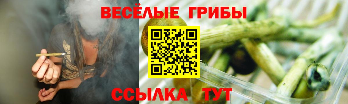 где можно купить наркотик  Псилоцибиновые грибы Psilocybe  Вход с VPN  Галлюциногенные грибы прущие грибы  Карасук 