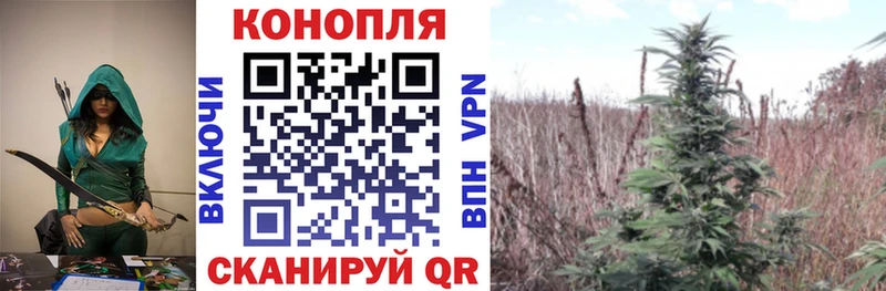 Конопля ГИДРОПОН  Карасук 